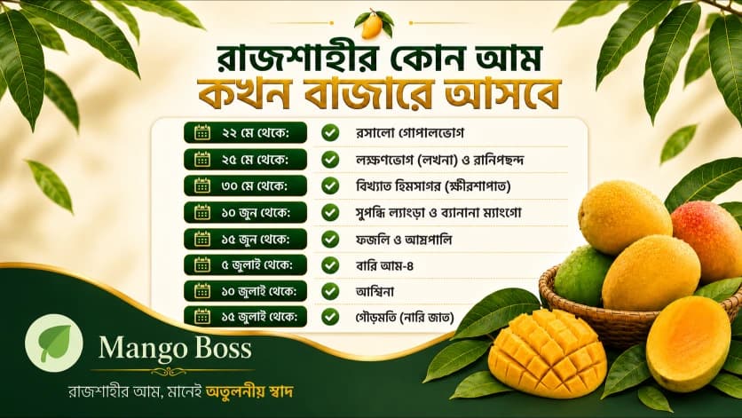 রাজশাহীর আম: কোনটা কখন পাবেন বাজারে?